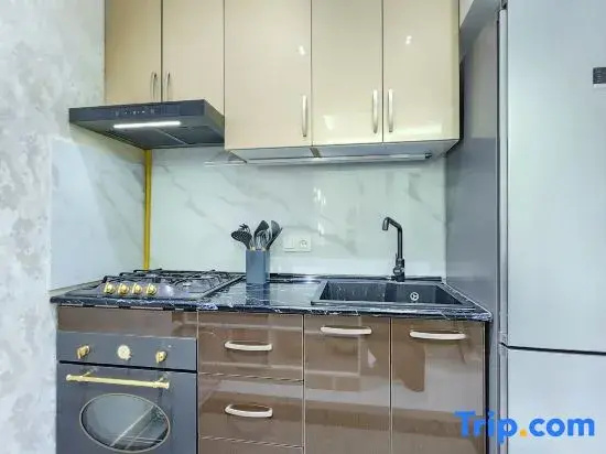Apartment Kazahstan in Tashkent 234