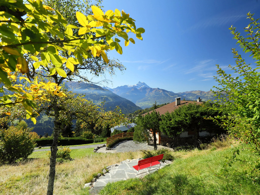 Chalet Zan-Fleuron - фото 3