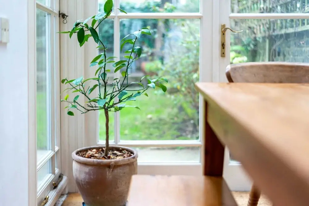 Guestready - Stylish Victorian Family Home, W/garden, Sleeps 8, London