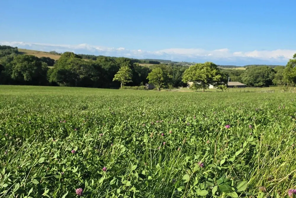 Woodend Hideaway Hamsterley - Sleeps 2 & Garden