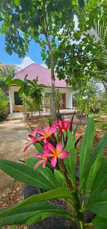 Z-Village Lodge