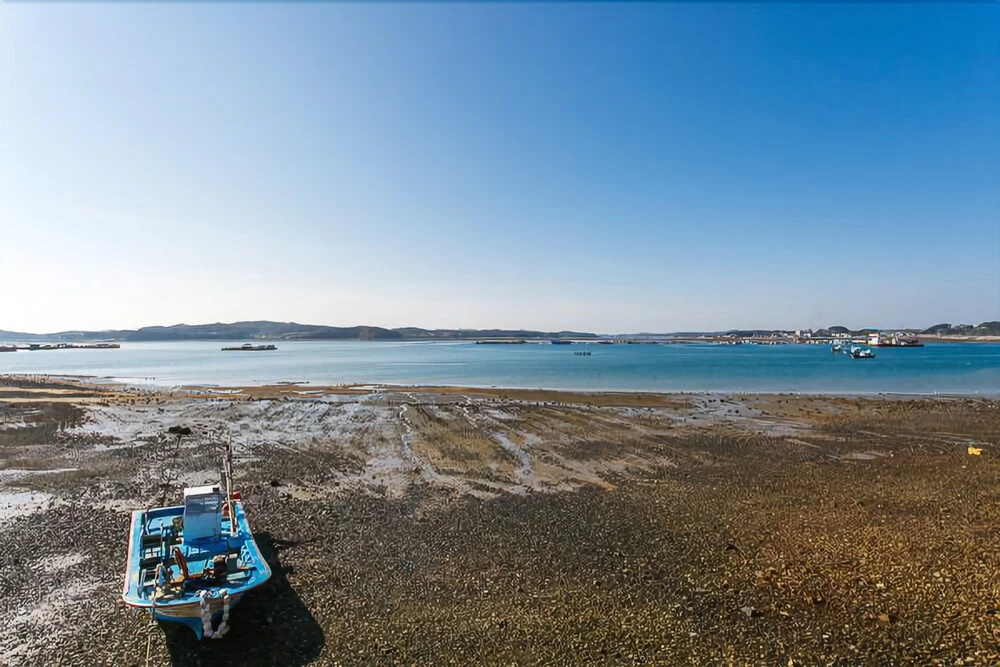 Beach & Waterfront