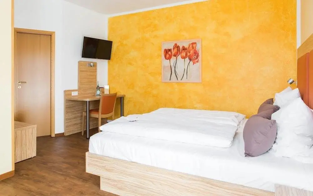 Hotel zur Katz - Général