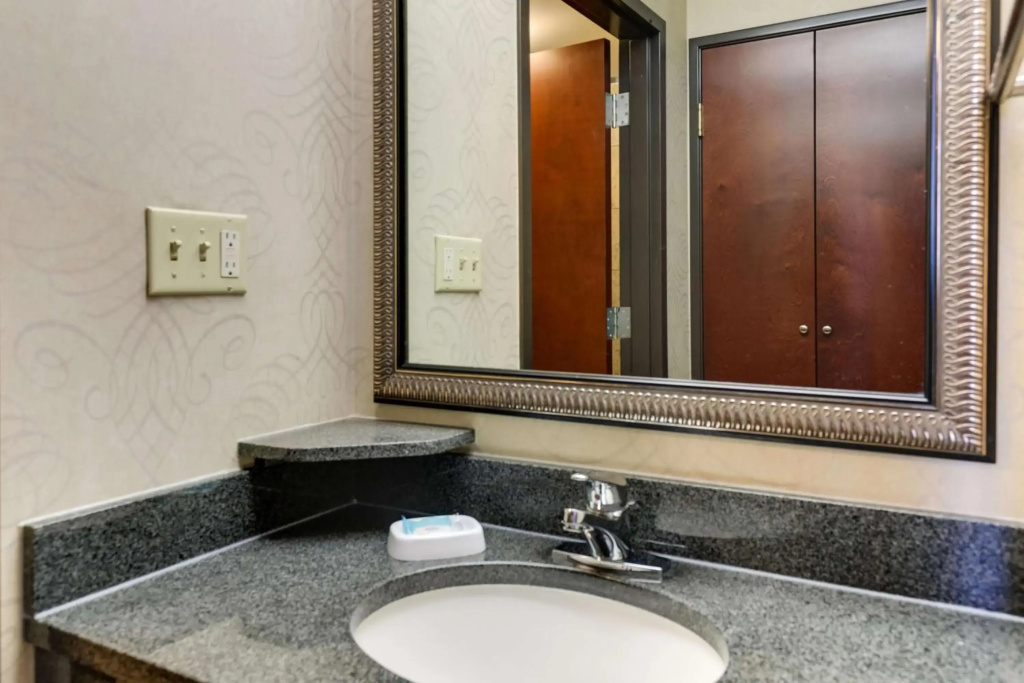 Drury Plaza Hotel New Orleans - Général