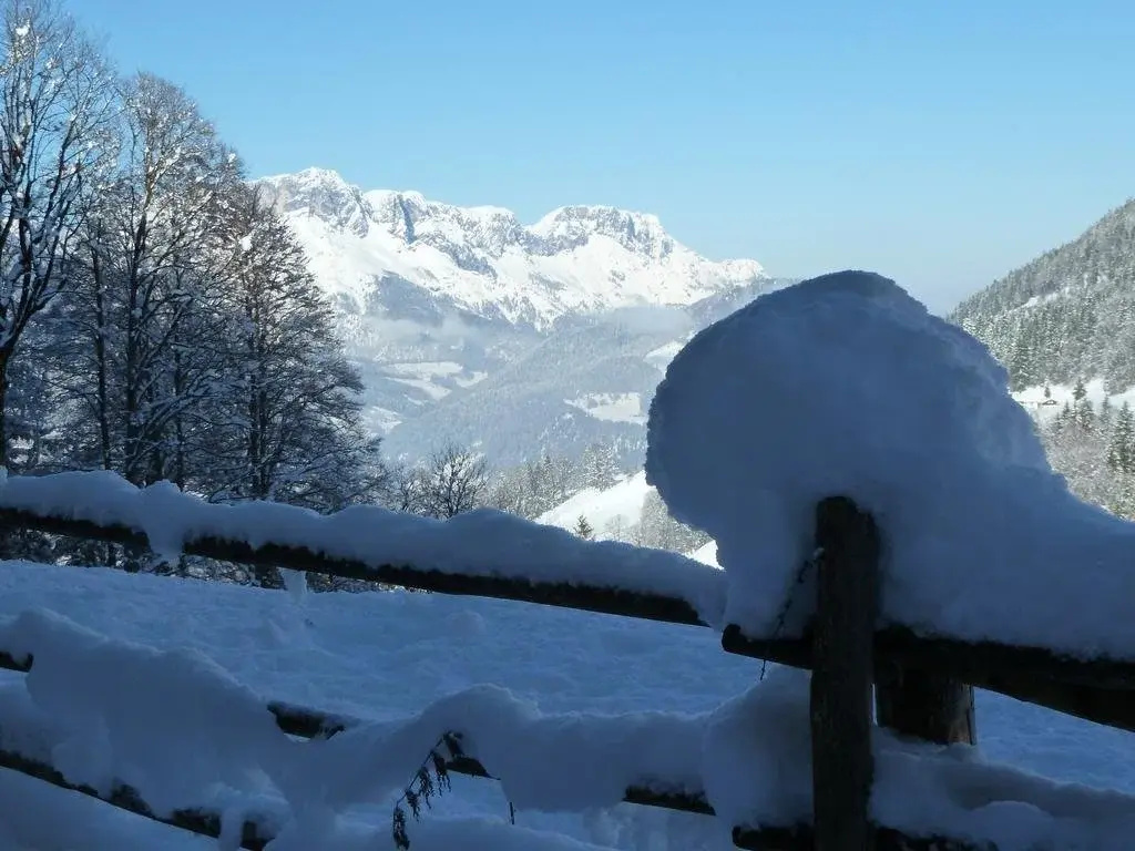 Alpenhotel Zechmeisterlehen - Général