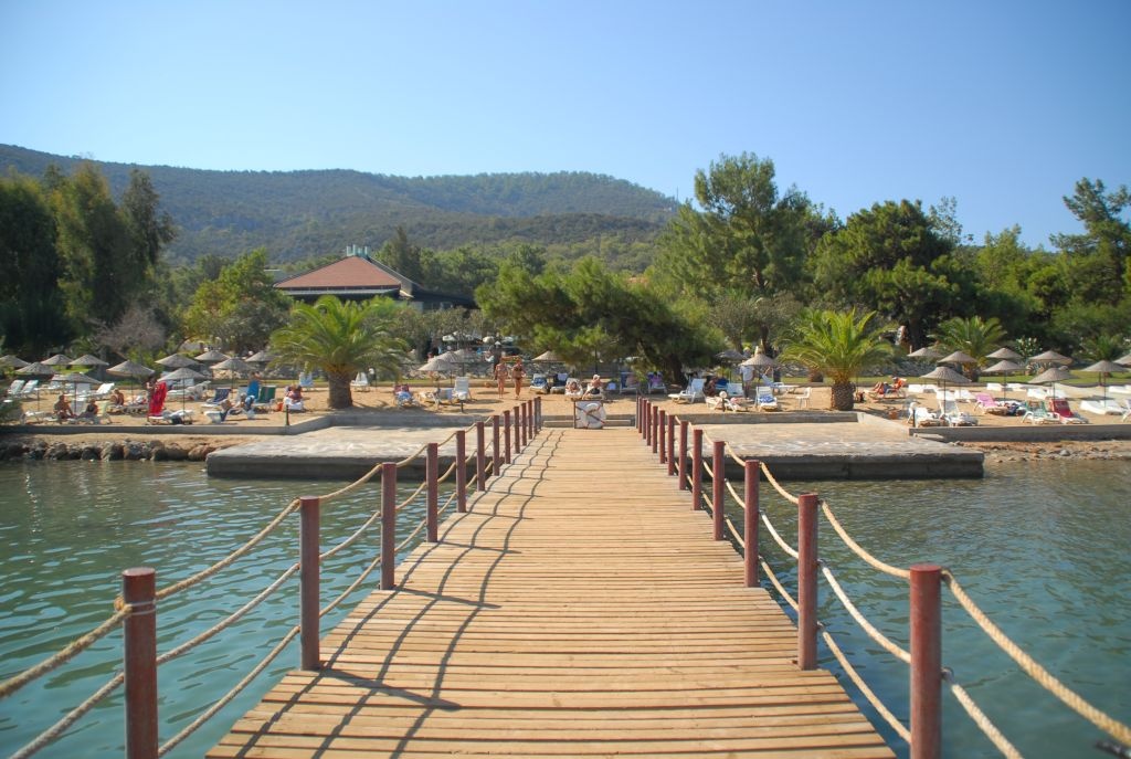 Beach & Waterfront
