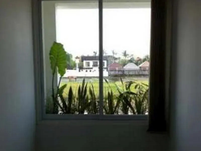 image url