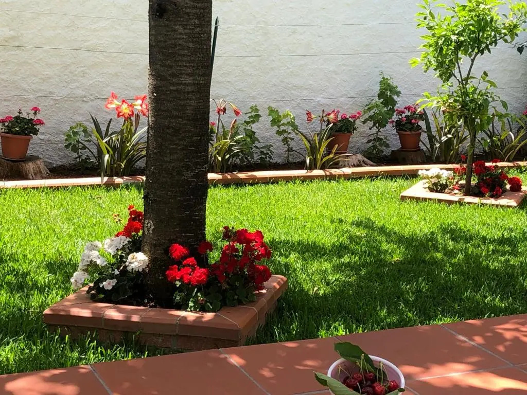 La Casa delle Ortensie Guest House