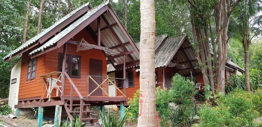 Coconut Garden