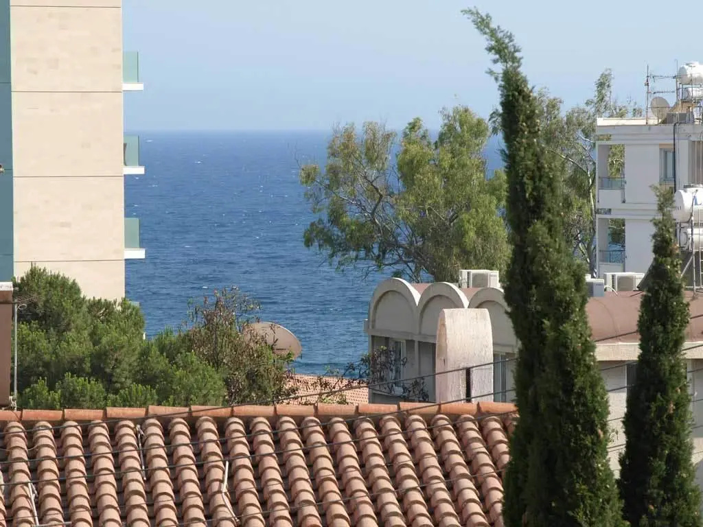 Patatas Villa