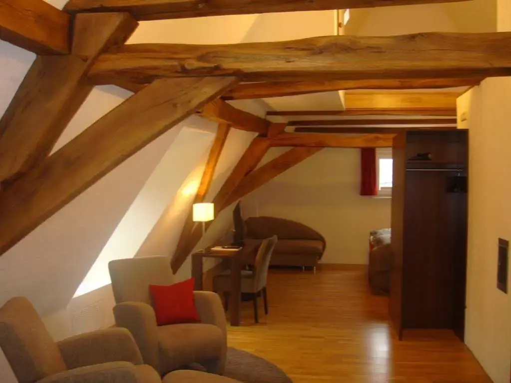 Boutique Hotel Villa Melsheimer - Général
