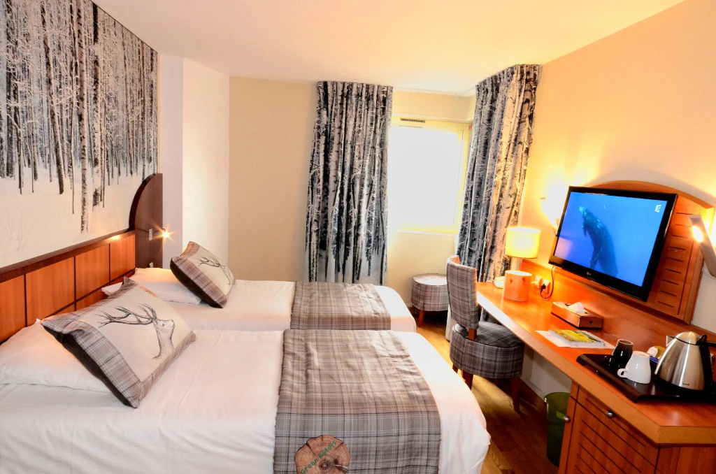 Deluxe Double room (full double bed)