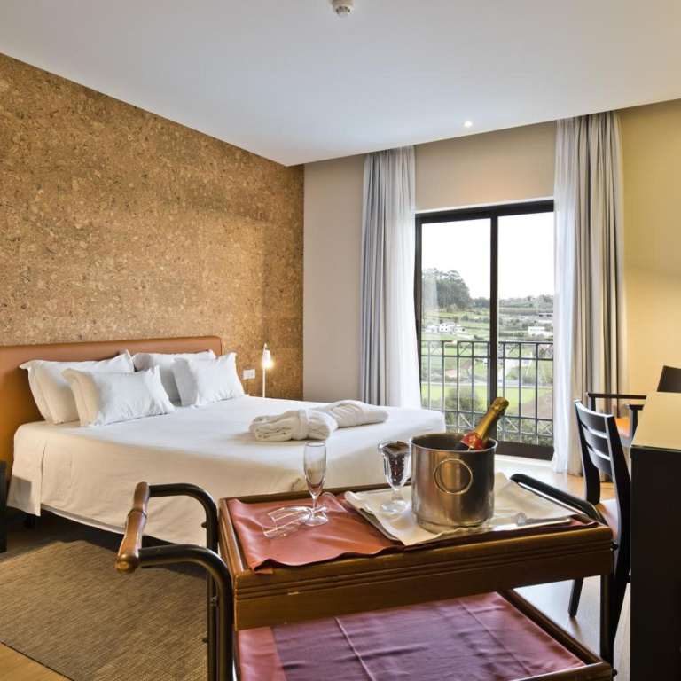 Tulip Inn Estarreja Hotel & Spa - Général