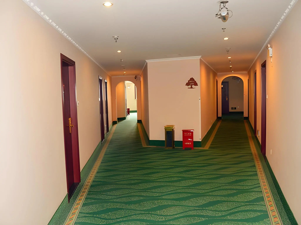 GreenTree Inn Shanghai Xupu Bridge Hotel - Général
