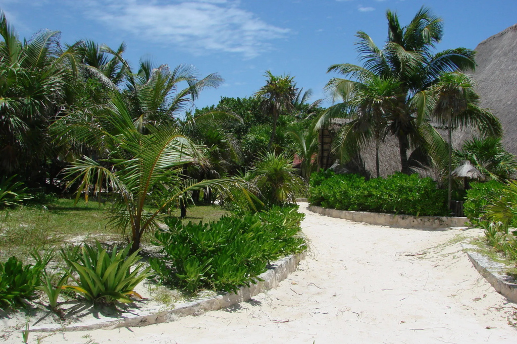 Beach & Waterfront