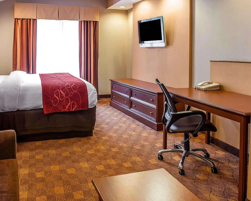1 Bedroom Suite