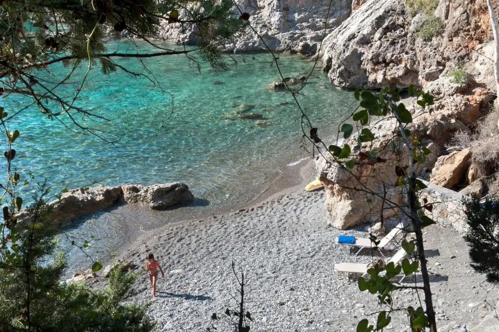 Beach & Waterfront