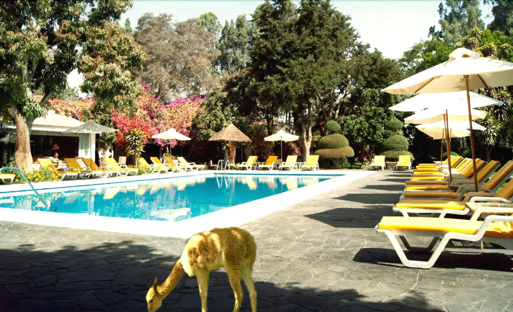 Hacienda Majoro Boutique & Resort - фото 17
