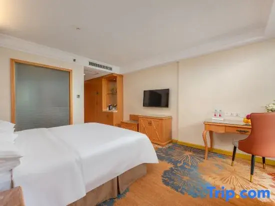 Vienna Hotel Guangzhou Chimelong Dashi Metro Station - Chambres