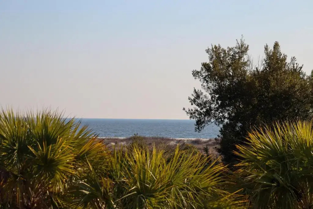 Spacious Ocean View Home w/ New Furniture, Huge Deck, & Wifi