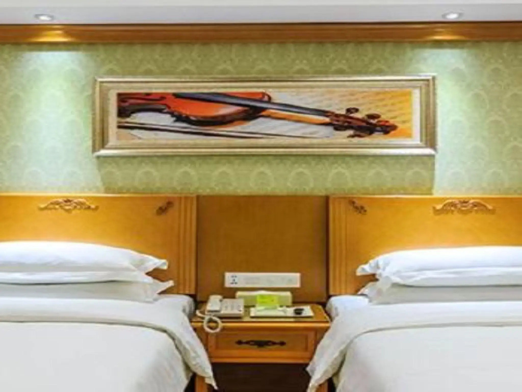 Vienna Hotel Wuhan International Conference and Exhibition Center Branch - Chambres