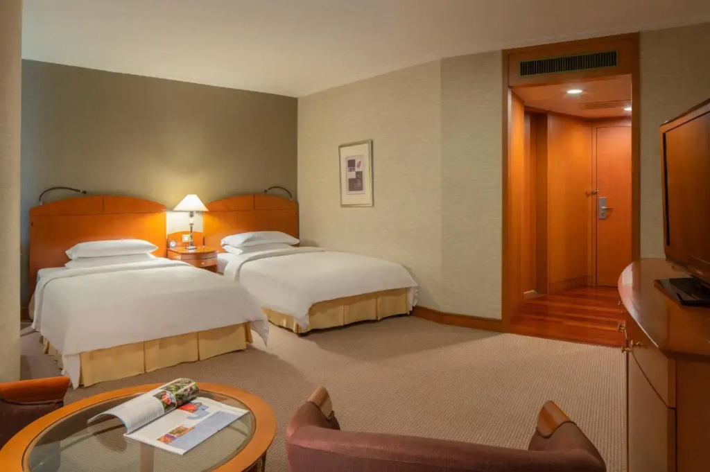 Superior Double room (twin beds)