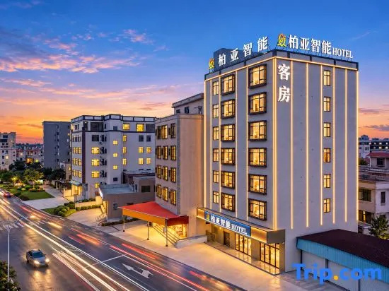 Boya Smart · Boya Smart Stay (Xuwengang Wharf Store) in Zhanjiang