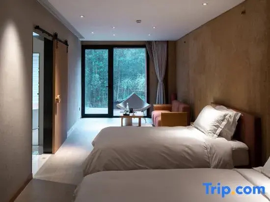 Standard Double room with mountain view (twin beds)