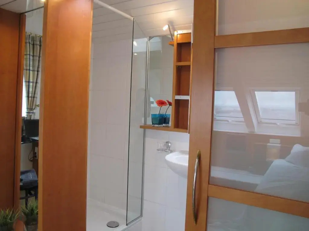 Standard Double room with lake view (full double bed)