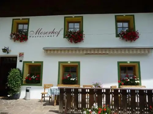 Berggasthaus Restaurant Moserhof