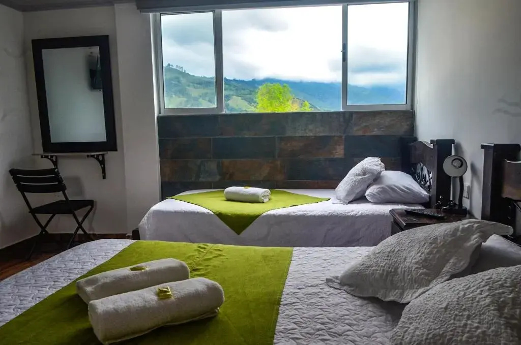 Standard Double room with mountain view (full double bed)