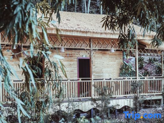 Bamboo Grove Courtyard Hainan's Home Homestay