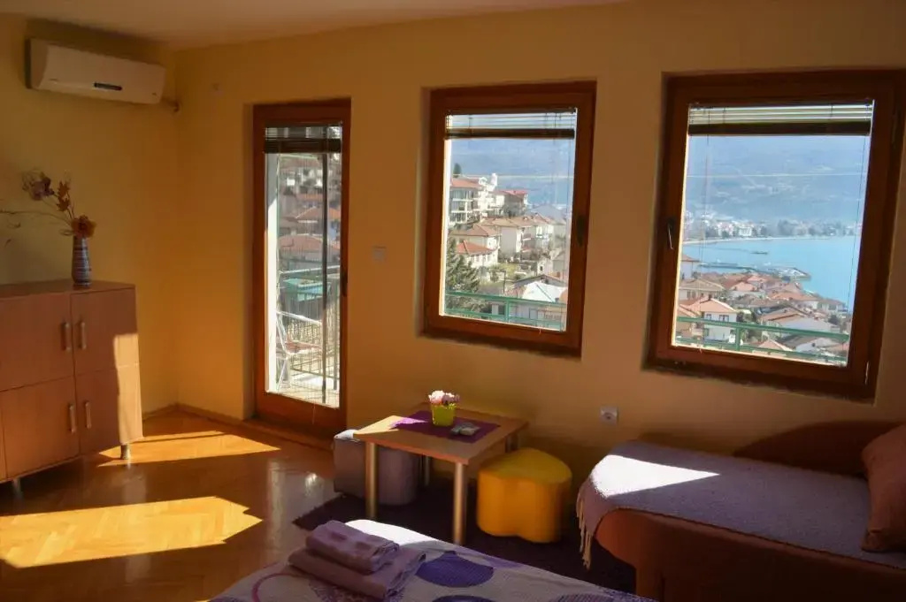 Studio with balcony and with lake view