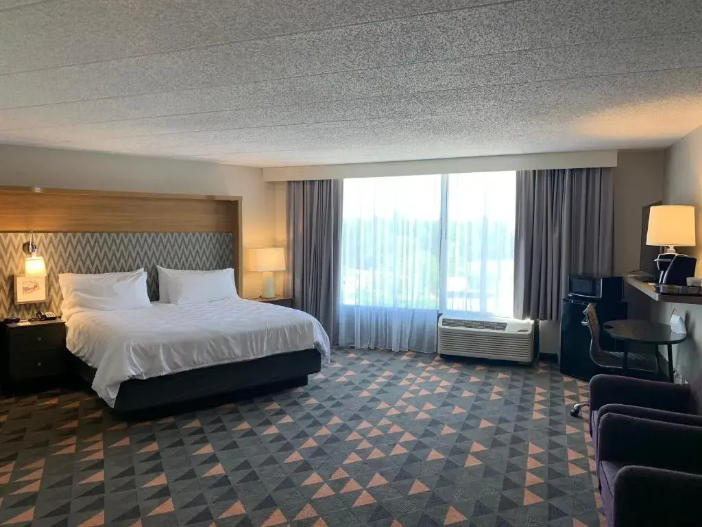 Holiday Inn Chicago Nw Crystal Lk Conv Ctr by IHG - Chambres