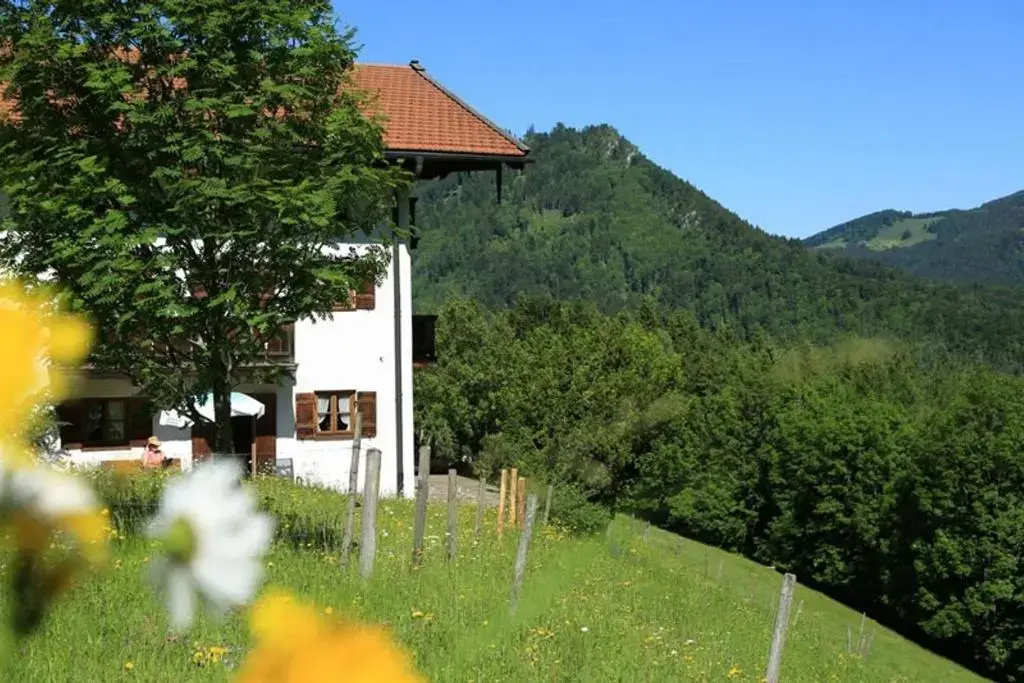 Berggasthaus Weingarten - Chambres