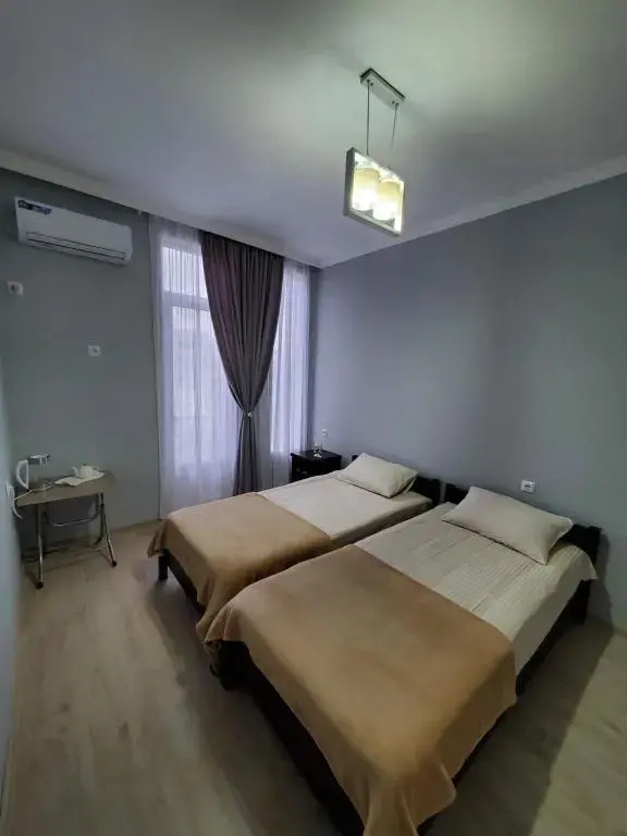 Standard Double room with balcony (twin beds)