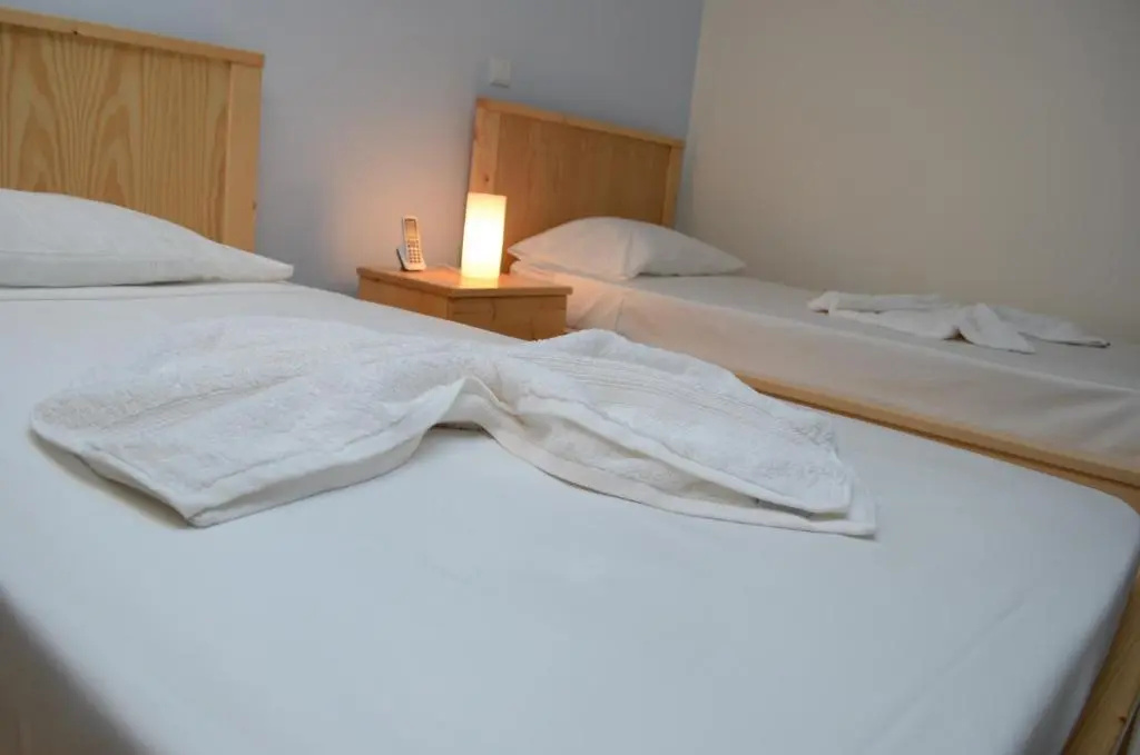 Standard Double room (twin beds)