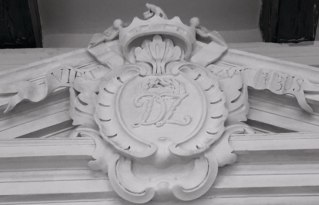 Image 17