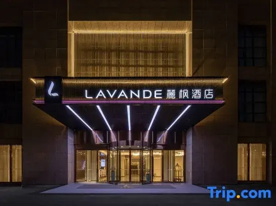 Lavande Hotel (Chenzhou Avenue Huijin Shidai)