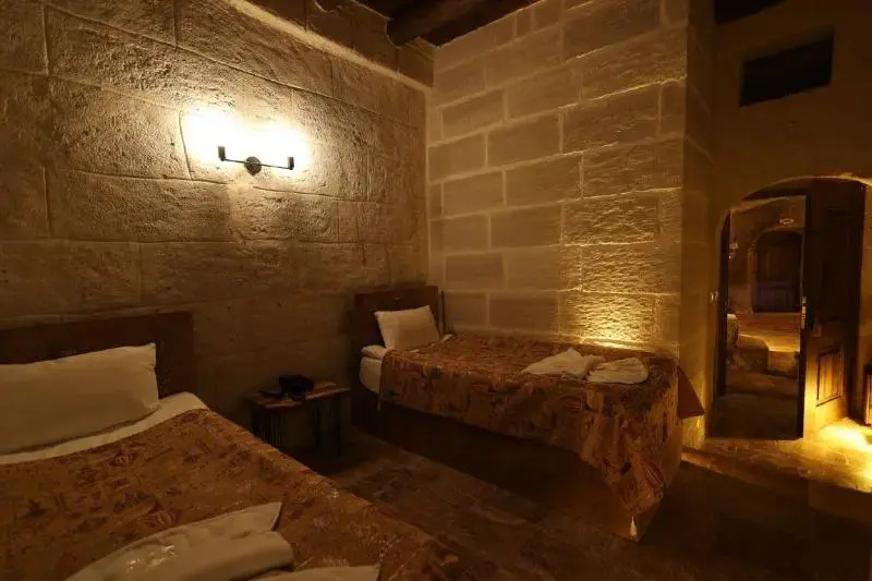 Standard Double room (twin beds)