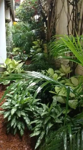 Casa Florencia Hotel