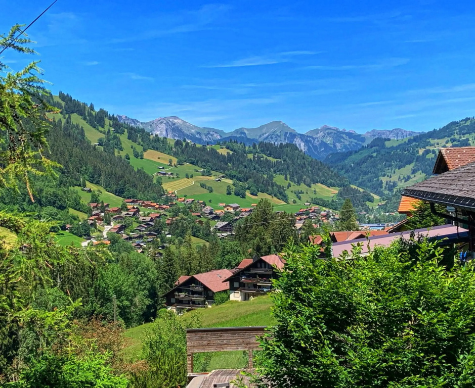 Chalet Finkenwiese