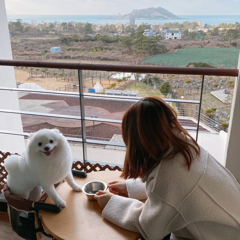 Hongik Jeju Hotel - Chambres
