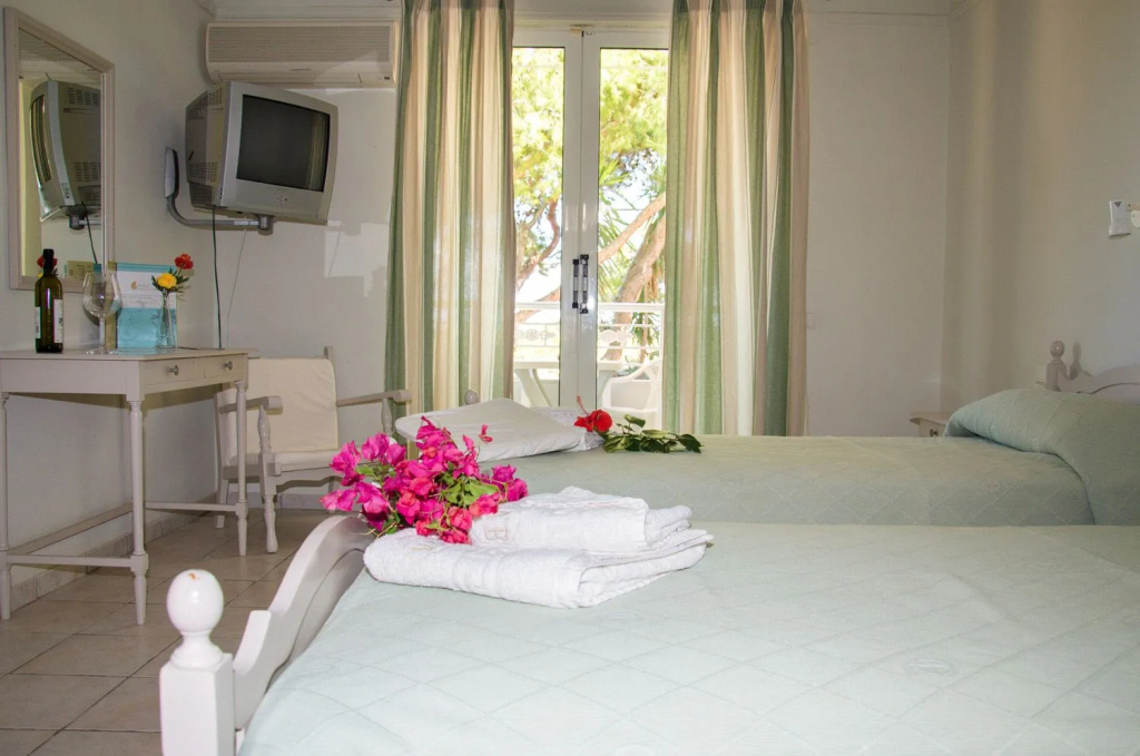 Standard Double room (full double bed)