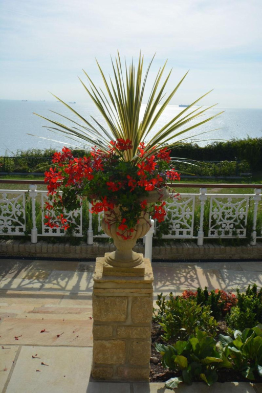 Hotel photo 26