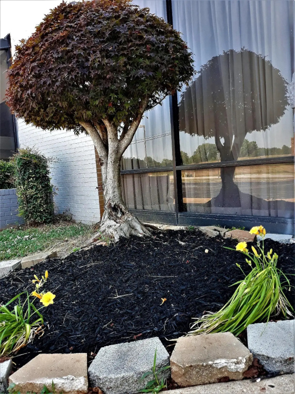 Madison Inn and Suites