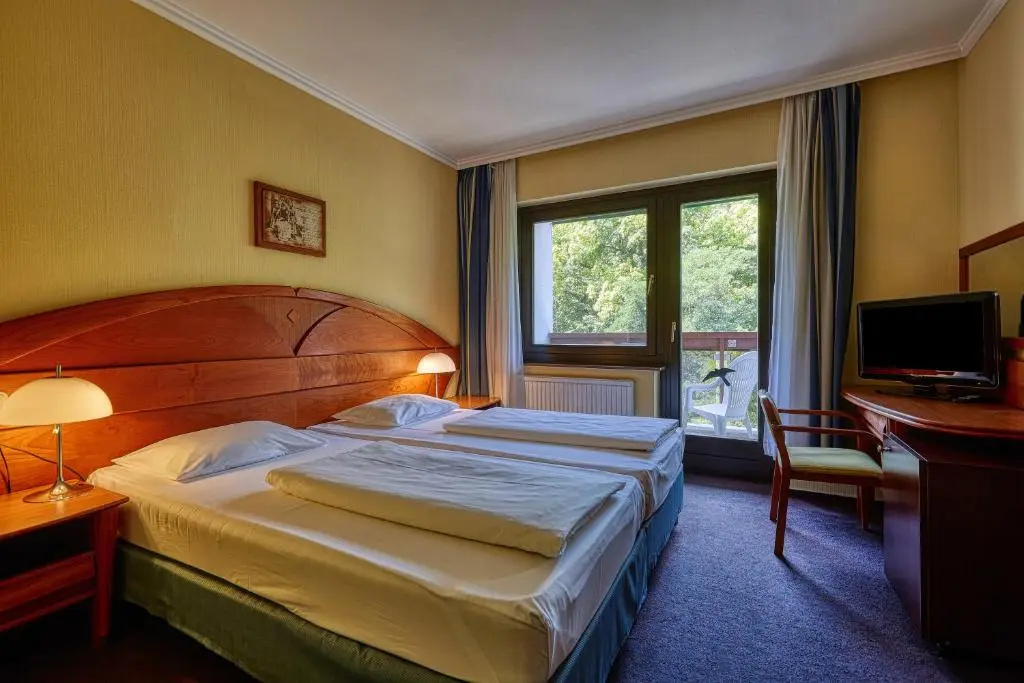 Standard Double room (full double bed)