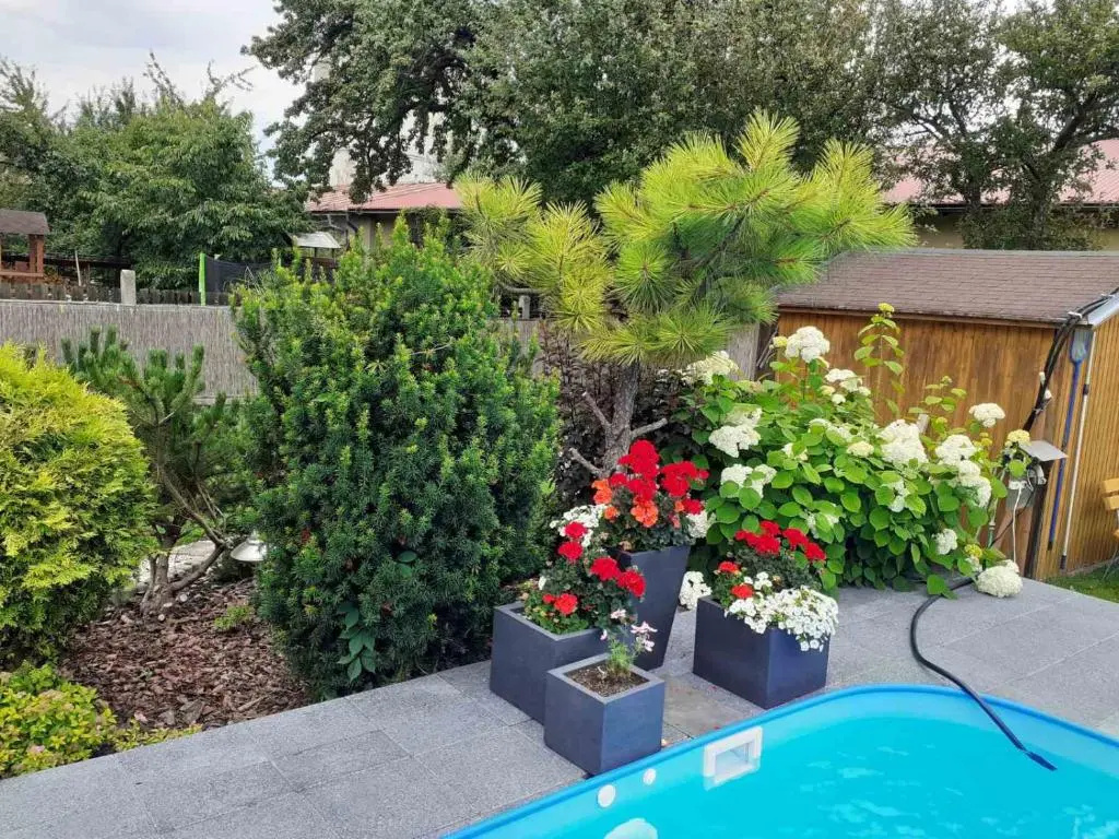 Apartmány Lea - Chambres