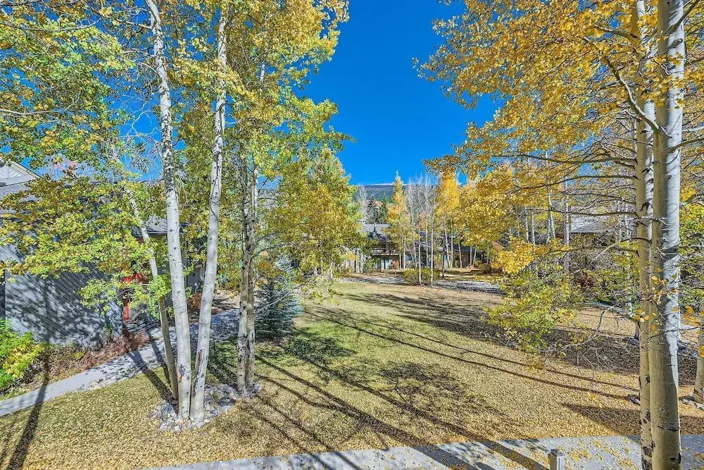 1147 Flying Dutchman 1 Bedroom Condo