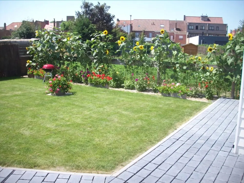 Garnaalhuisje - фото 11